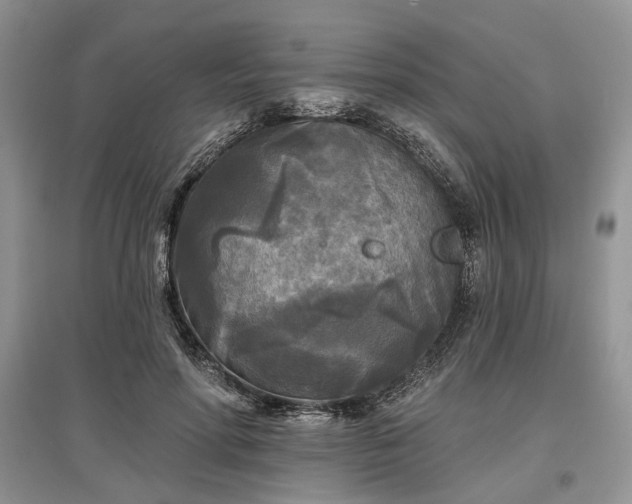 X0000097610598200803071451