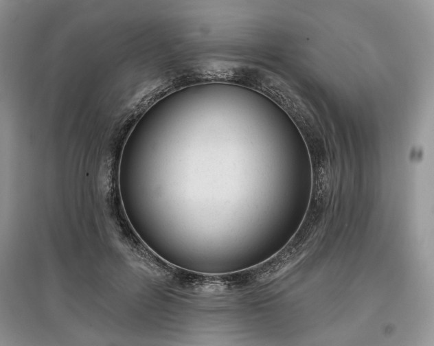 X0000097610600200803071451