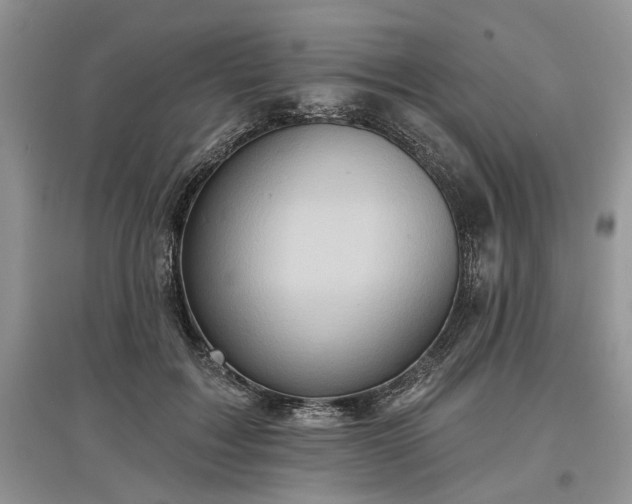 X0000097610603200803071451