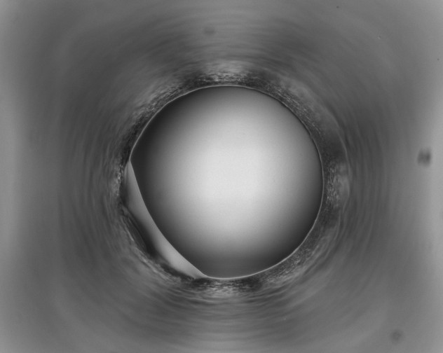 X0000097610604200803071451