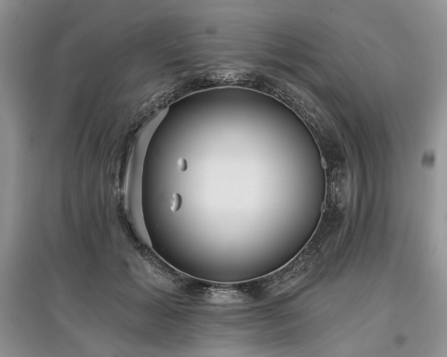 X0000097610605200803071451