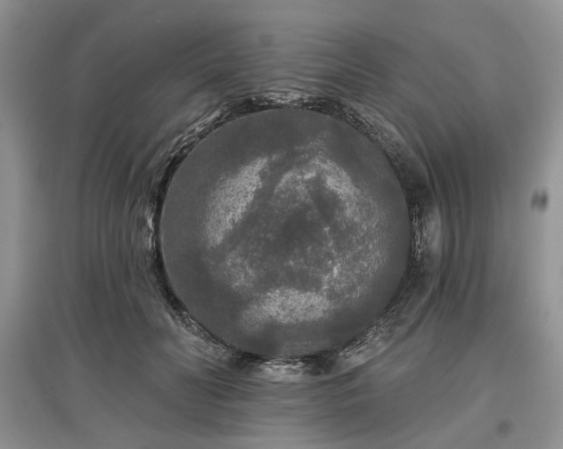 X0000097610606200803071451