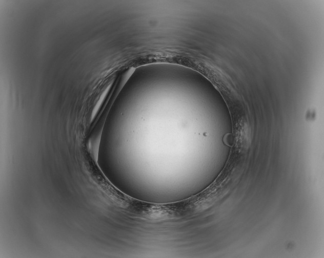 X0000097610608200803071451