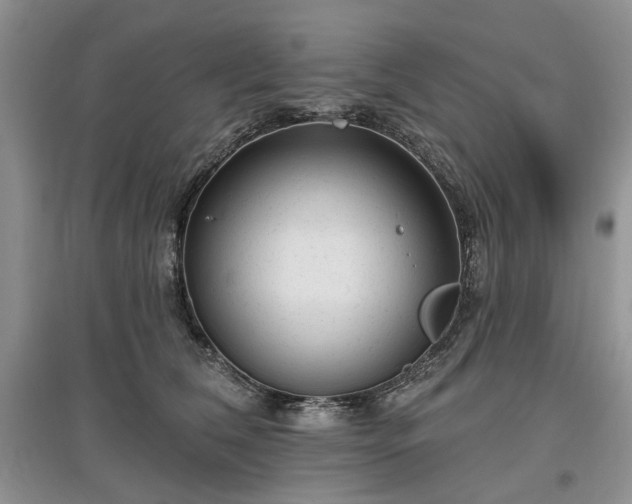 X0000097610612200803071451