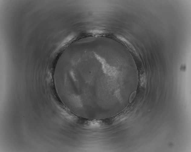 X0000097610618200803071451