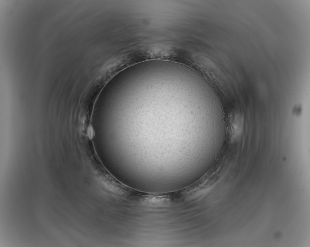 X0000097610619200803071451