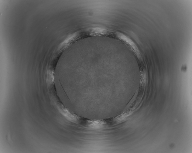 X0000097610621200803071451