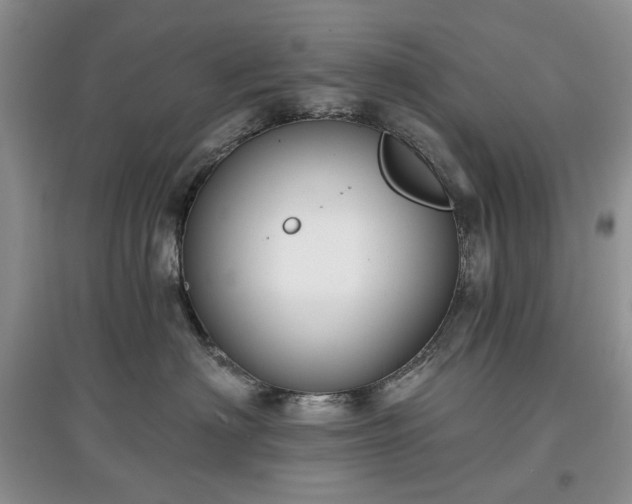 X0000097610622200803071451