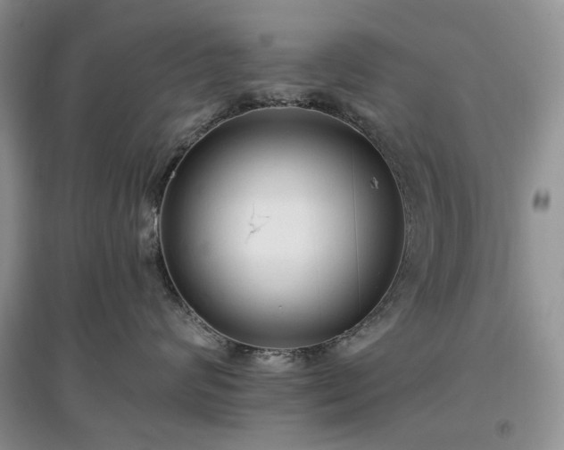 X0000097610624200803071451