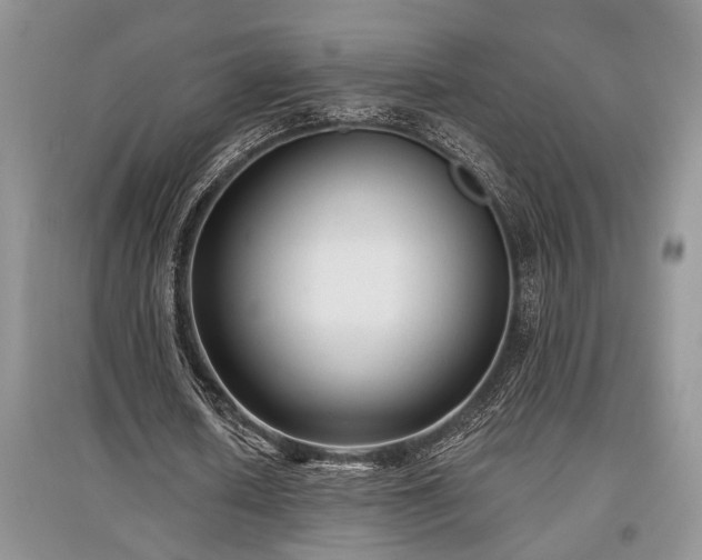 X0000097610626200803071450