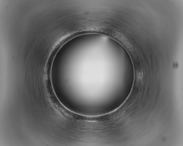 X0000097610628200803071450