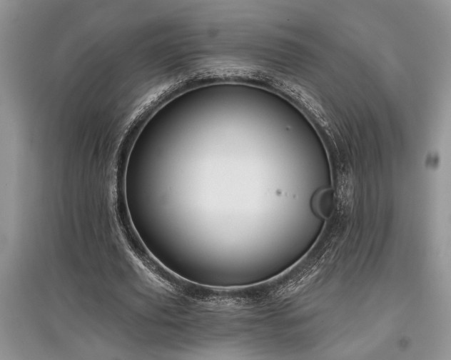 X0000097610629200803071450