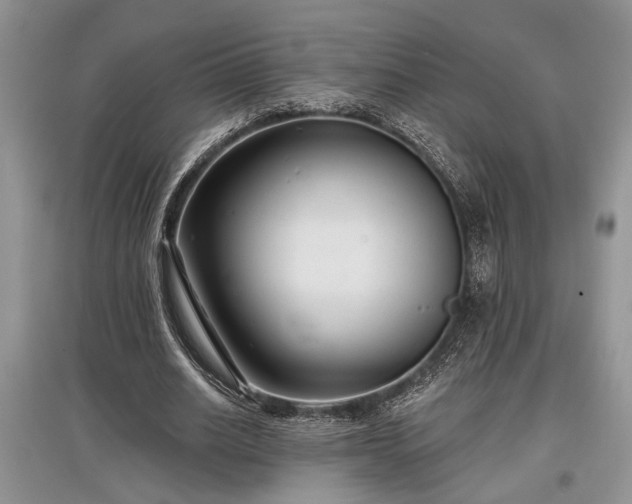 X0000097610630200803071450