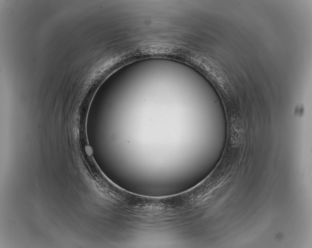 X0000097610631200803071450