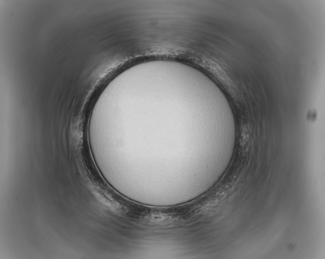 X0000097610632200803071450