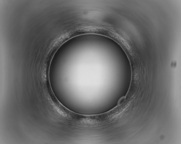 X0000097610633200803071450