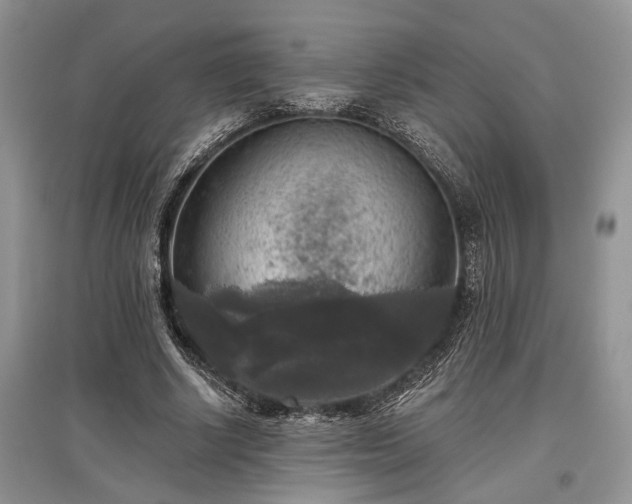 X0000097610634200803071450
