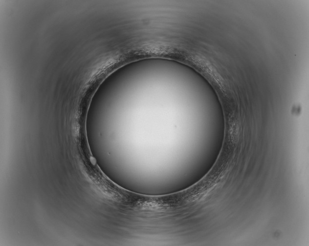 X0000097610635200803071450