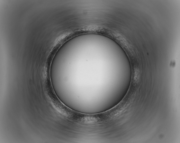 X0000097610636200803071450