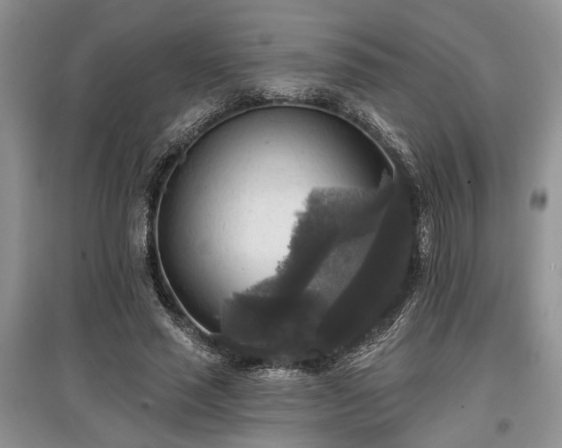 X0000097610637200803071450