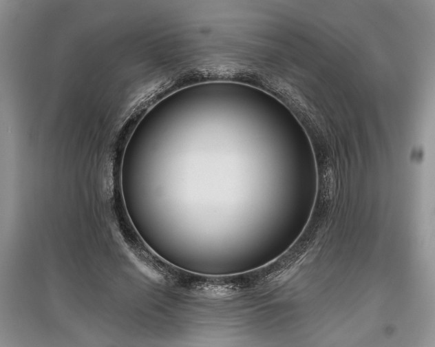 X0000097610638200803071450