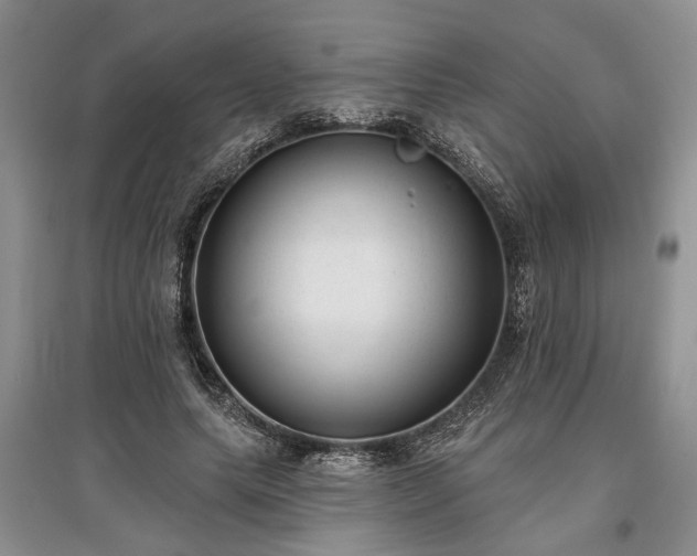 X0000097610639200803071450
