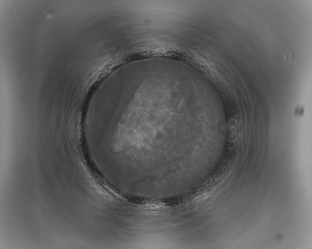 X0000097610642200803071450
