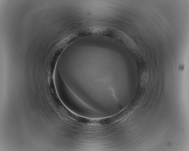 X0000097610644200803071450