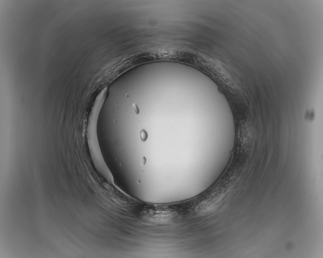 X0000097610645200803071450