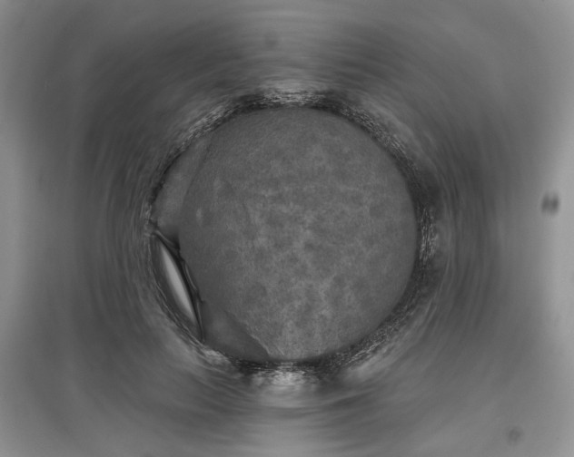 X0000097610647200803071450