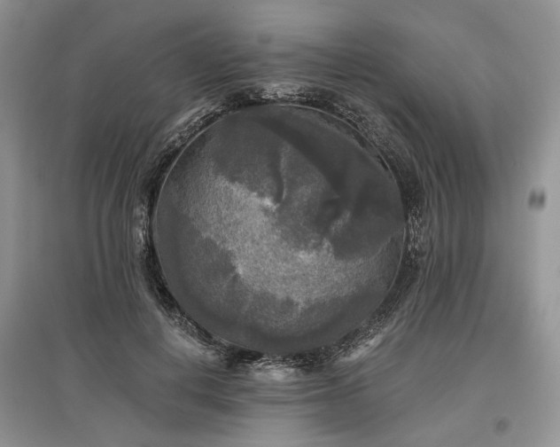 X0000097610648200803071450