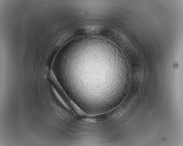 X0000097610649200803071450