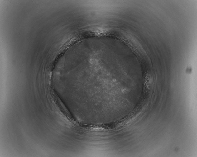X0000097610650200803071450