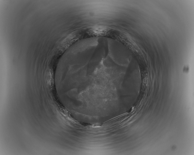 X0000097610651200803071450