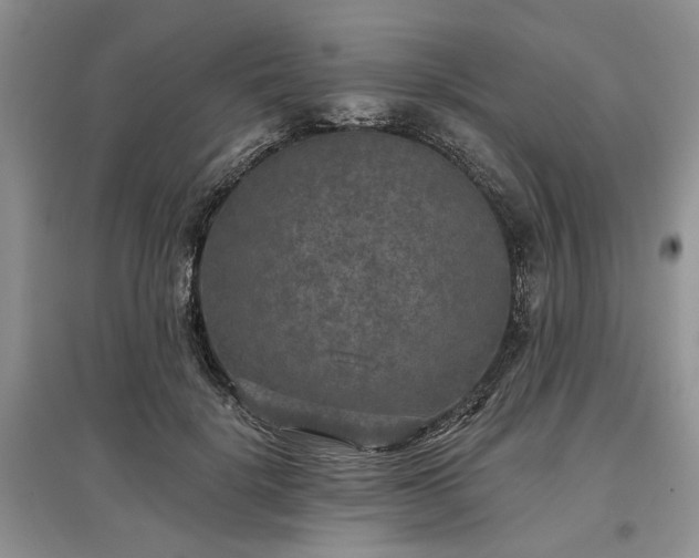 X0000097610652200803071450