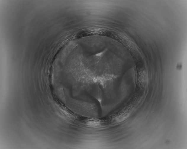 X0000097610653200803071450