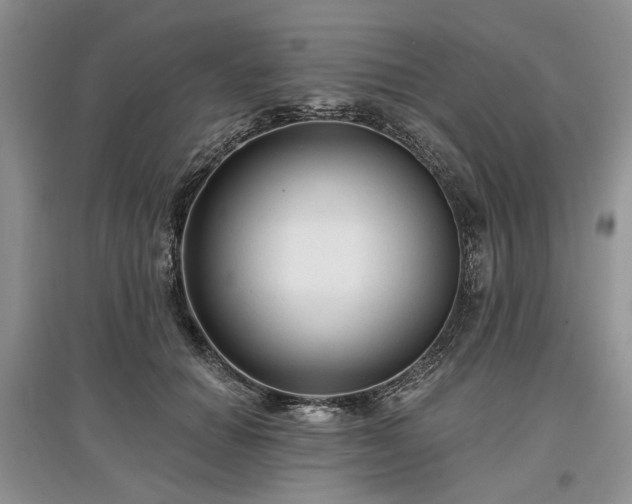 X0000097610654200803071450