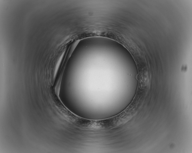 X0000097610656200803071450
