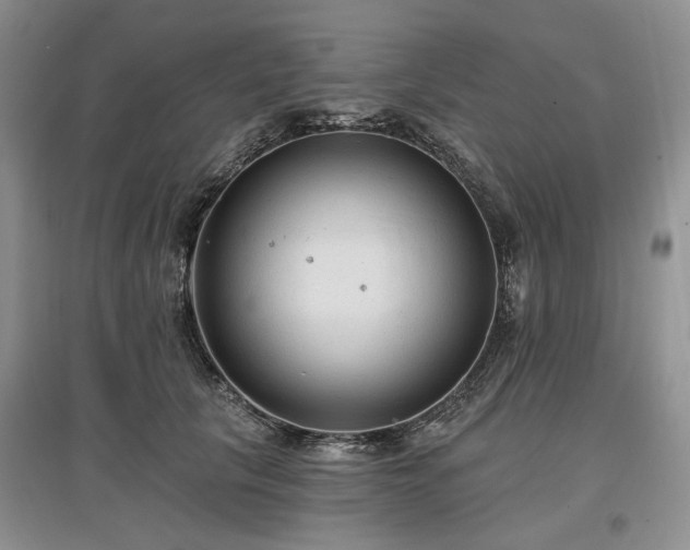 X0000097610657200803071450