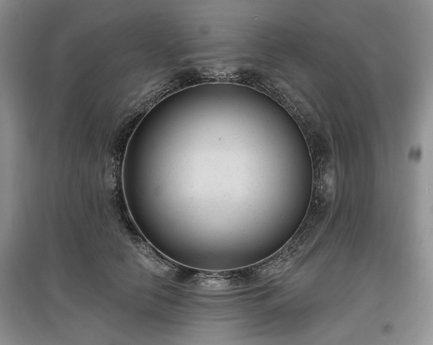 X0000097610658200803071450