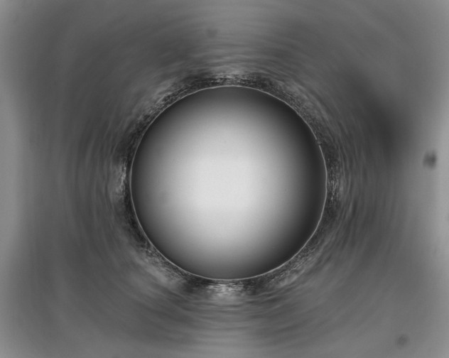 X0000097610660200803071450