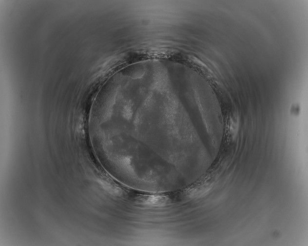 X0000097610663200803071450