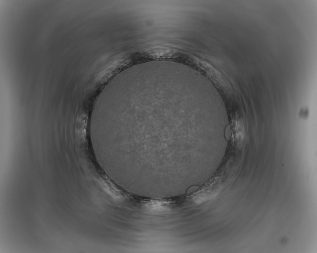 X0000097610664200803071450