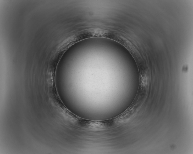 X0000097610666200803071450