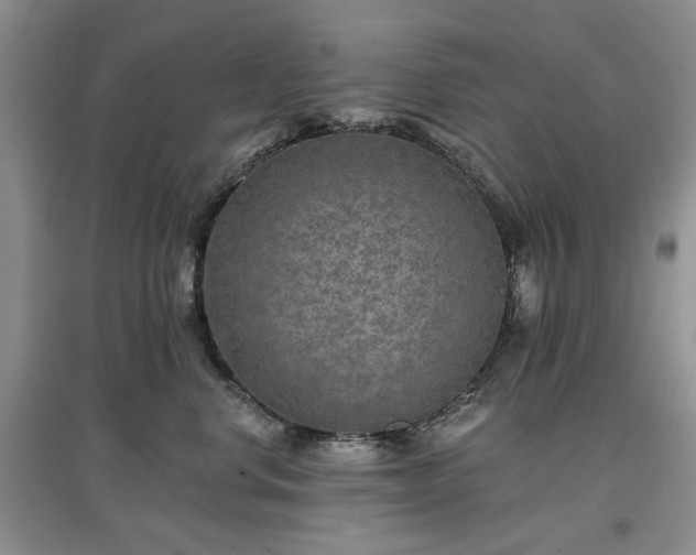 X0000097610668200803071450