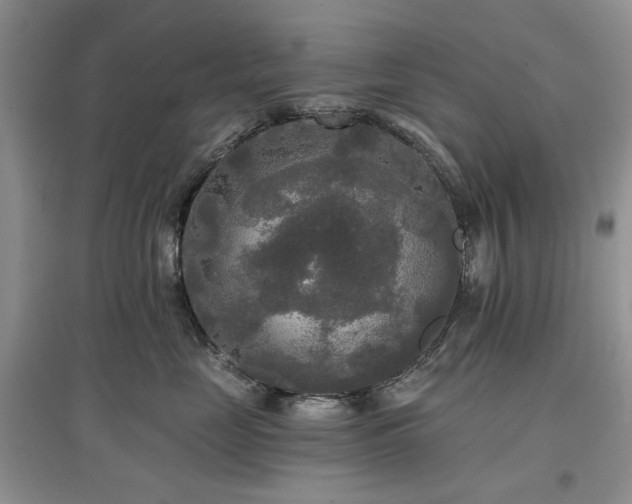 X0000097610669200803071450