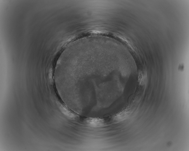 X0000097610670200803071451