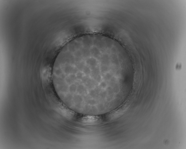 X0000097610672200803071451