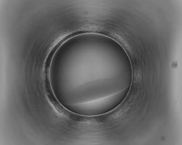 X0000097610674200803071450