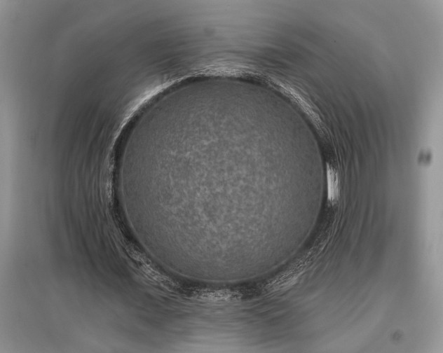 X0000097610675200803071450